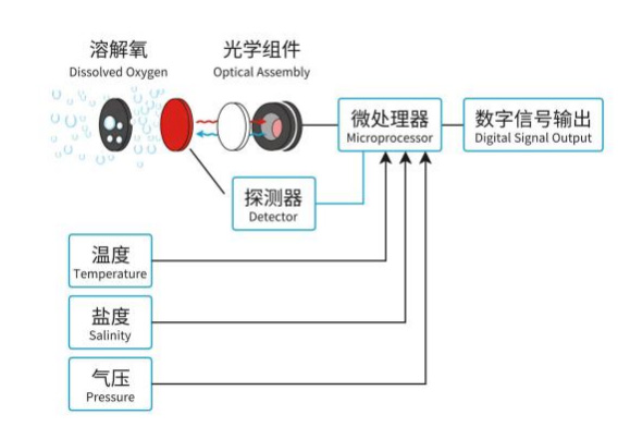 在線熒光法溶解氧傳感器工作原理